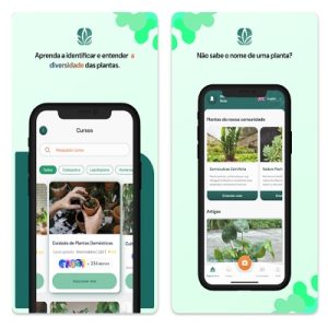 Melhores aplicativos para identificar plantas